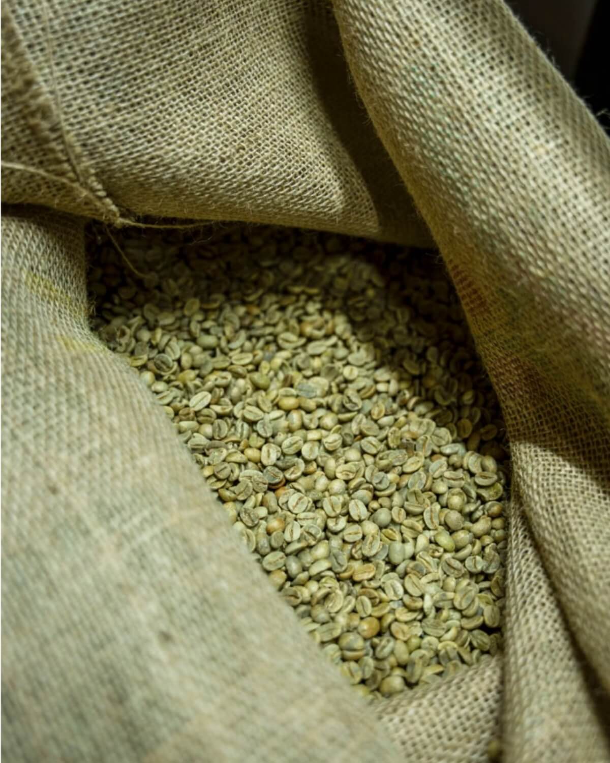 Café verde colombiano para exportación. GM Nexus Trading, comercio internacional
