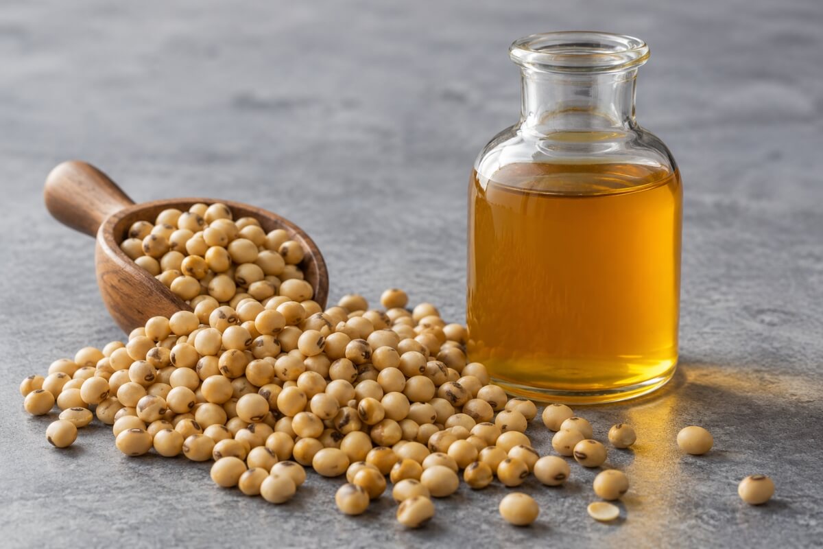 Granos de soya y aceite de soya crudo en botella de vidrio. GM Nexus Trading, productos agrícolas
